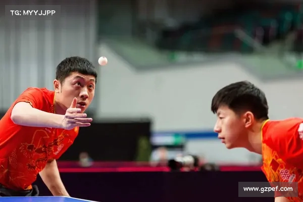 马龙曾言与许昕对战即便获胜也难掩心中不快的背后真相 马龙曾言与许昕对战即便获胜也难掩心中不快的背后真相