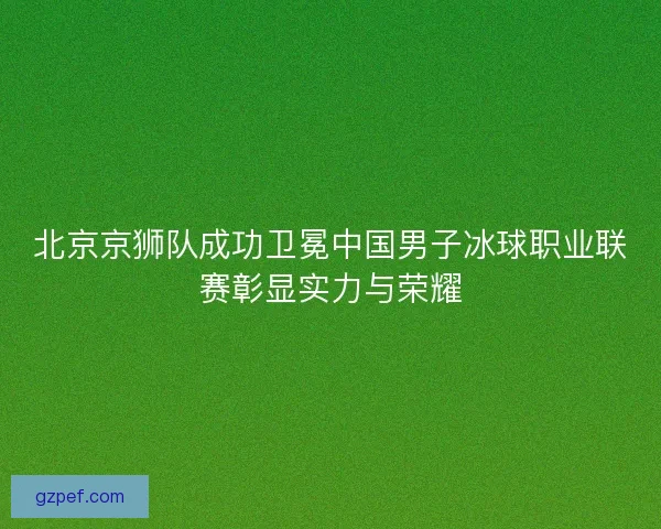 北京京狮队成功卫冕中国男子冰球职业联赛彰显实力与荣耀